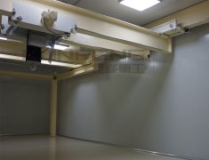 洁净室起吊机