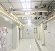 半导体车间专用起重机